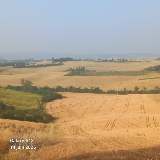20250614_074504