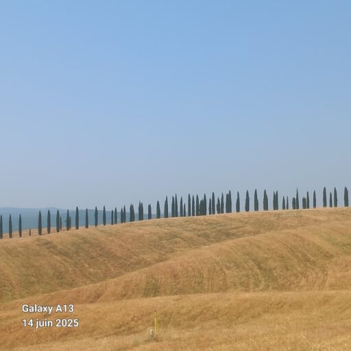 20250614_114005